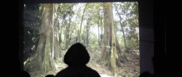pemutaran film mertidesa Desa Pentur tahun 2013